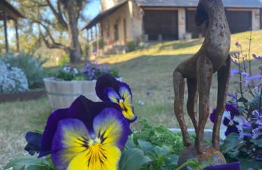 V700 Ranch Stays (Guesthouse)-A Tucked Away Gem - Foto 2