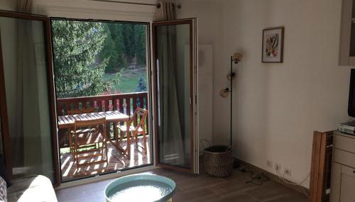 Studio Valberg face aux pistes - Photo 3