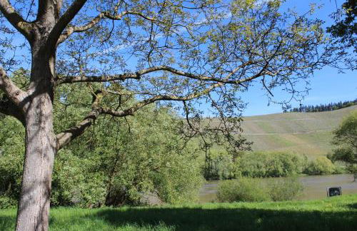 FeWo Freis in Brauneberg - Foto 46