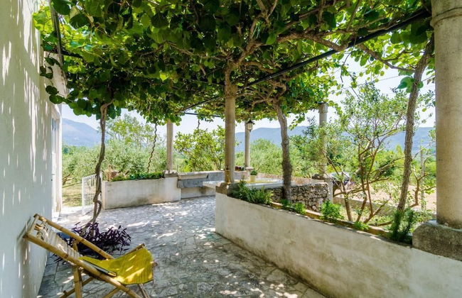 Holiday Home Field of Olives - Foto 12