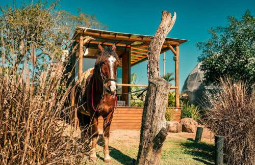 Esphera Glamping - Gravataí - RS - Foto 139