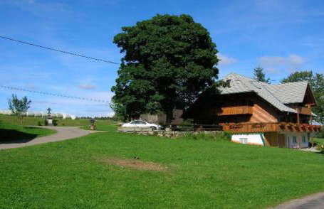 Bärenhof Backhaus - Foto 10