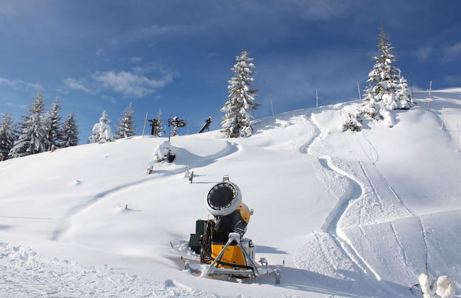 Mühlradl Apartments - Foto 39