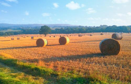 Benchwood House - Photo 26