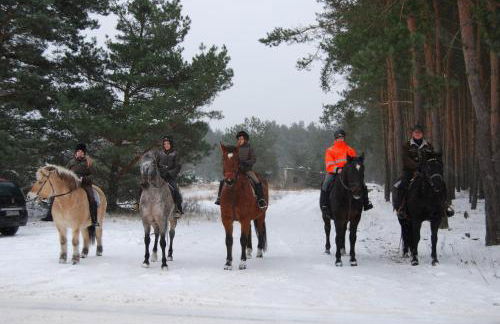 Zum Pferdestall - Foto 26