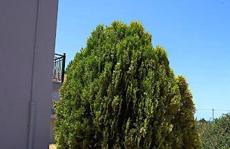 Romanos Beach Villas - Foto 58