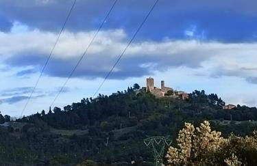 A10 nel borgo- con giardino vista mare - Foto 31