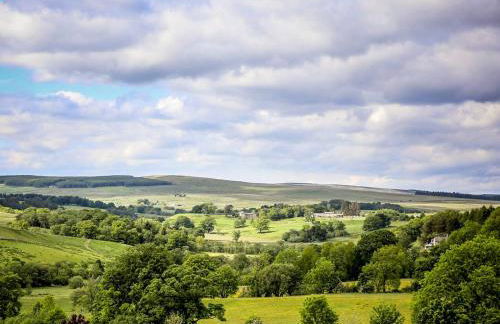 Venus 3 - Uk50473 - Foto 3