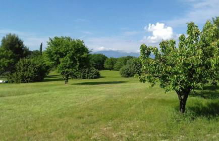 UN COIN DE PROVENCE ,LA Maison D'ANTOINE - Foto 18