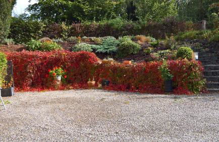 Ferienwohnung "Eifelstueffje" - Foto 31