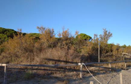 Elegantemare apartment - Foto 28