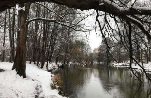 Ferienwohnung "Altes Schloss Wilhelmsfeld" - Foto 20