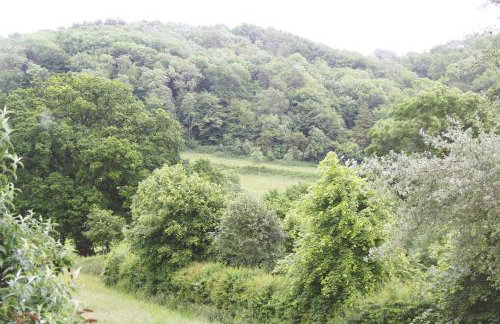 Owlpen Manor Cottages - Foto 13