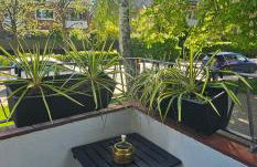 Hamburg Niendorf-Suite - Foto 33