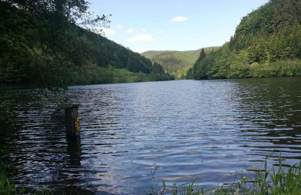 Haus Linde Frauenwald am Rennsteig - Foto 28