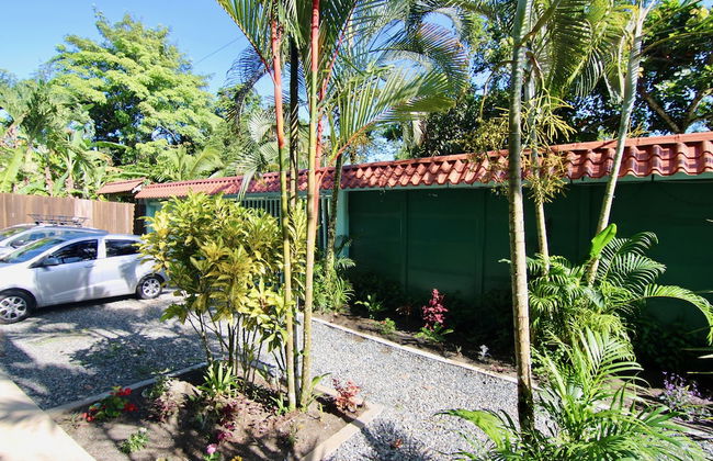 Bohemian Monkey - Foto 32