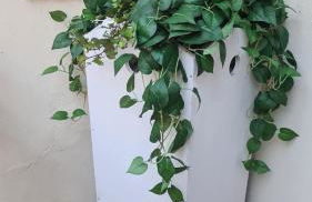 Mezzaterra 10 tourits accomodation - Photo 70