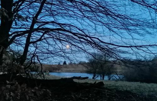 Rügen - Promoisel - Auszeit am Kreidesee - Foto 24