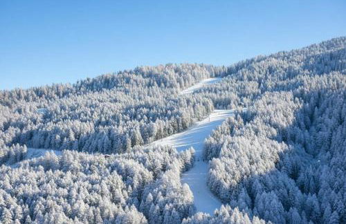 Casa vacanze moderna a 500m dalle piste - Foto 45