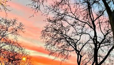 A Casa do Tio Joaquim - Photo 3