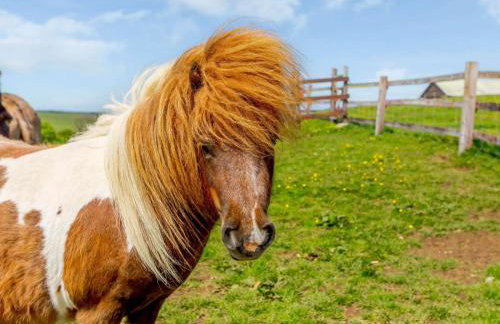 2 Bed in Ilfracombe oc-86938 - Foto 16