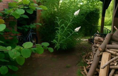 Mc Garry Apartments and Garden - Foto 2