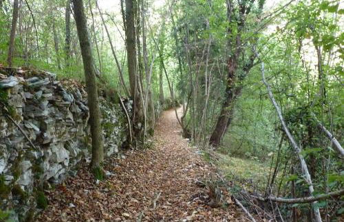 Ca' Boscara - Foto 16