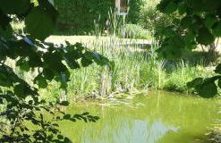 Ferienhaus Waldglück - Foto 16