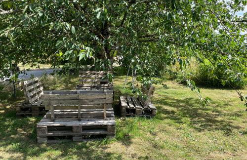 Gîte de charme près du Mans pour 4 avec piscine naturelle - FR-1-410-473 - Photo 9
