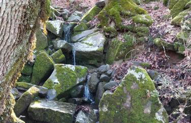 Σπίτι στο χωριό - Foto 22