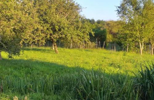 Romantic Tower in Dordogne with Rooftop Terrace - Foto 36
