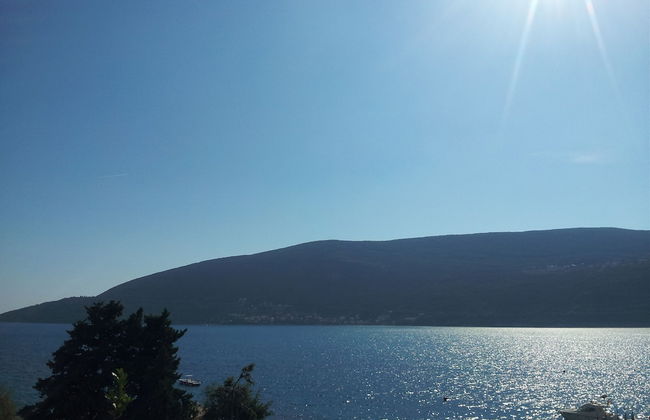 Apartmani Vila Kukoljac - Foto 53