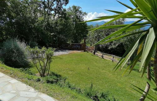 Cà di Viola - Foto 61