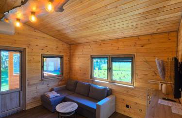 Domki Pod Olchowym Dachem Lubie - Foto 17