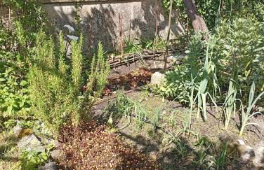 Casinha da Horta com Jacuzzi - Foto 25