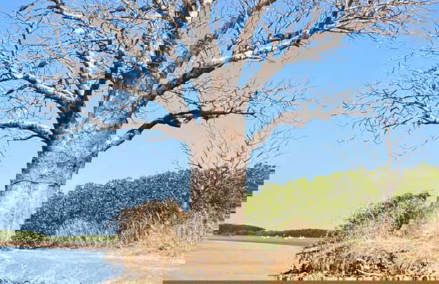 Excursión privada al delta del Salum - Foto 3