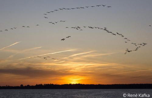 ILEX Appartements - Foto 27