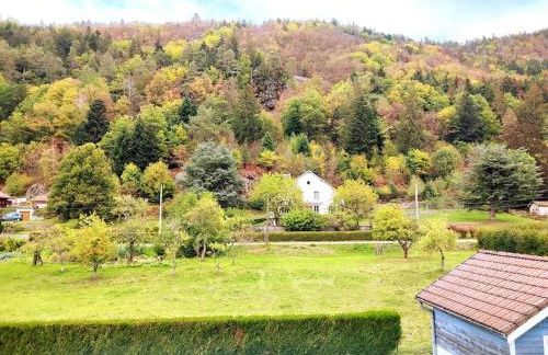 Le Vivaldi, Au cœur du massif vosgien avec terrain de pétanque - Foto 14