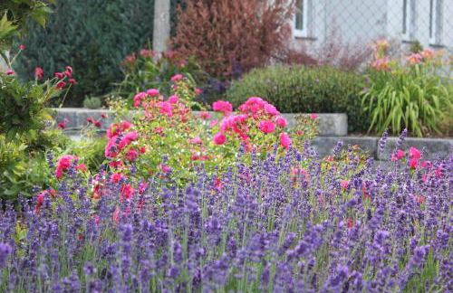 Ferienhaus Däschinger Das Zweiradparadies - Foto 51