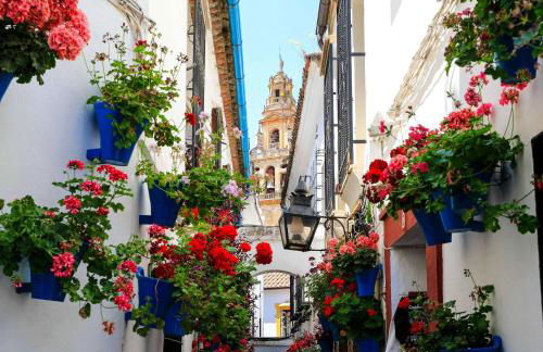 Casa Rural Los Gaspares - Foto 63