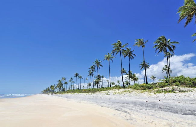 TOKAYA CLUB - Foto 28