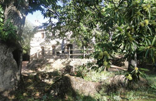 Finca la Colorá - Foto 4