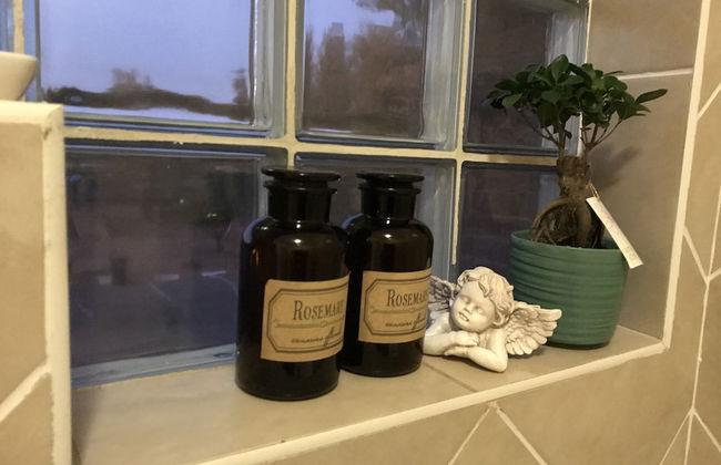 Vintage Palm - Foto 12