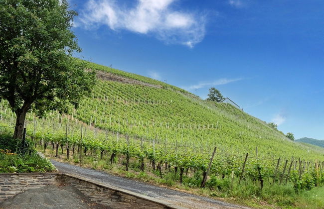 Charming Holiday Home in Neumagen-dhron - Foto 39