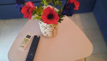 Park view apartment in Paralia Dionisiou - Foto 2