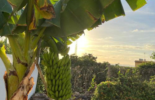 Un Paraiso En Tenerife - Foto 4