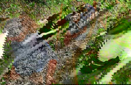 Senderismo por las Cascadas Escondidas - Foto 8