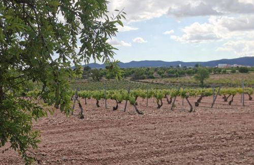 Casa Aurora, mi aldea ,entre viñas y almendros - Foto 33