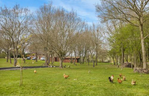 Countryside Cabin on 5 Acres Countryside with Outdoor Firepit, Cinema and converted Stables - Foto 36