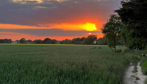 Cosy garage conversion - Foto 2